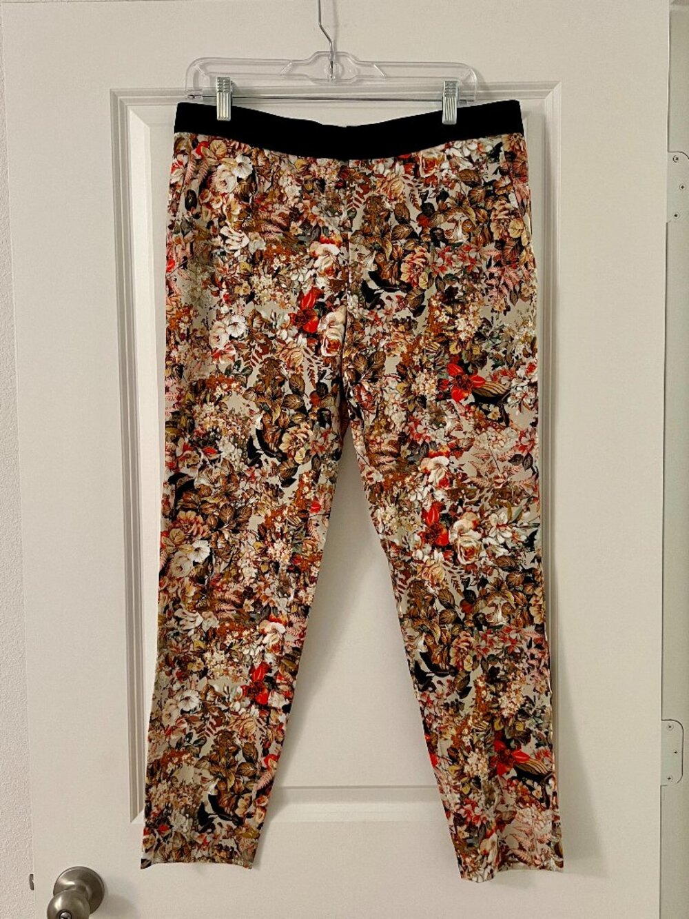 Zara Fall Foliage Brown Leaves Black Waistband Trouser Pants Straight Leg, NEW